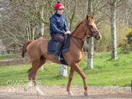 BP200326-24 - It's Hard To Know